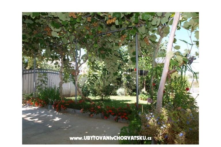 Apartmaji Andredor – foto 17