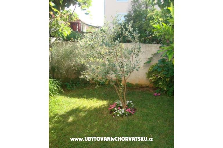 Apartmaji Andredor – foto 8