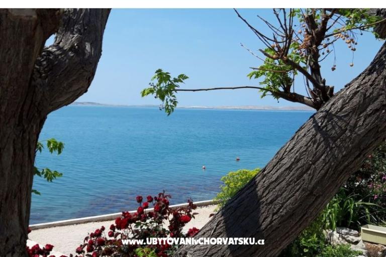 Apartmaji Benić – foto 16