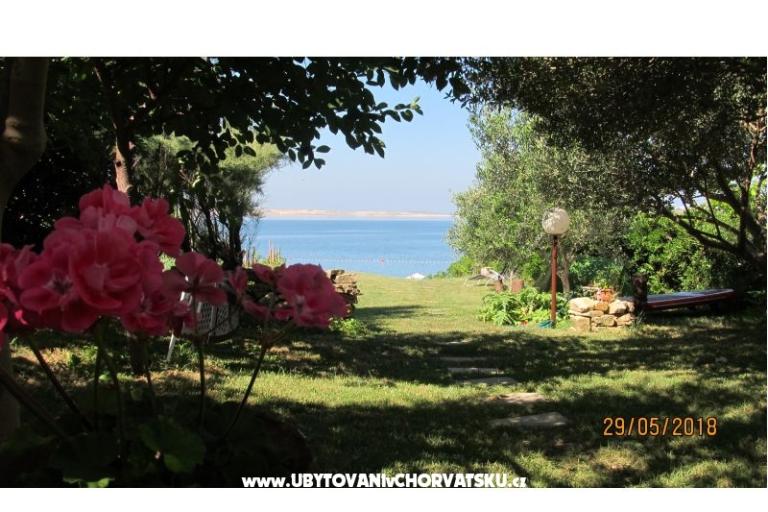 Apartmaji Devcic DZ – foto 7