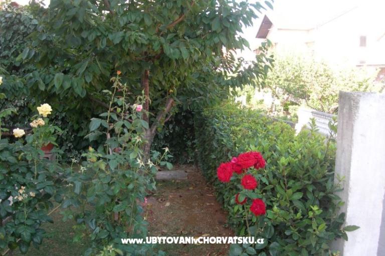 Apartmaji Ravkin – foto 9