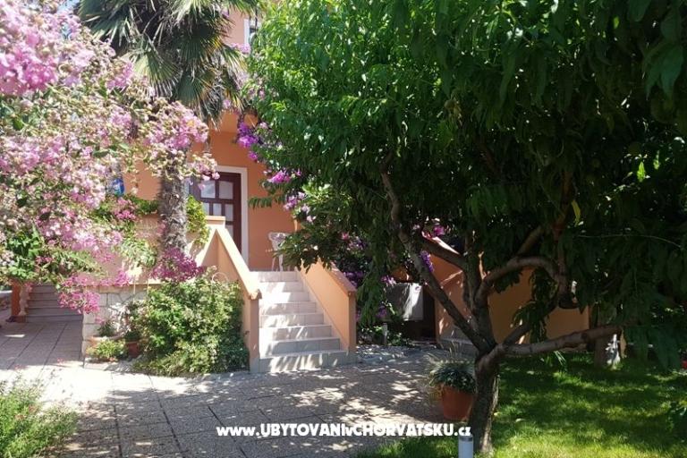 Apartmaji Riva – foto 5