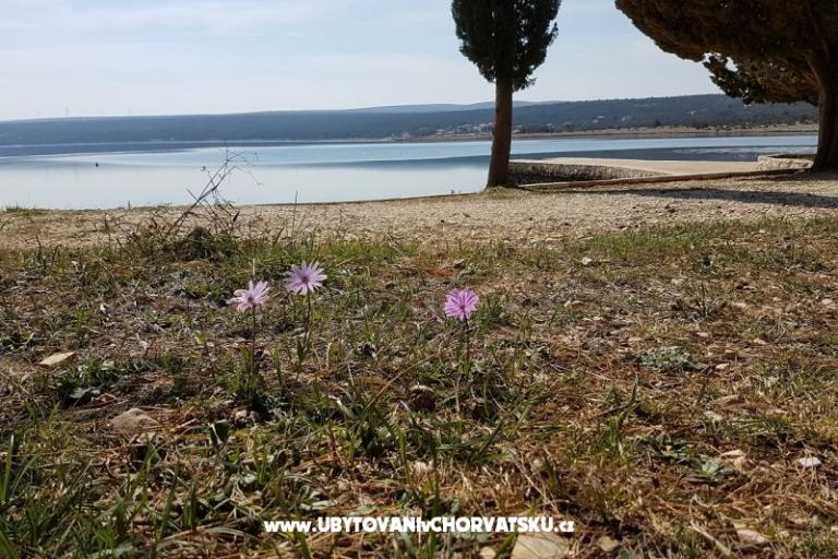 Apartmaji Tena,  prvi red do mora – foto 45