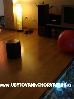 Apartma Just Cozy – foto 6