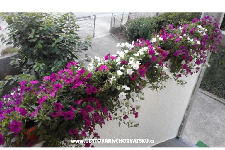 Apartmas  Nina  – foto 11