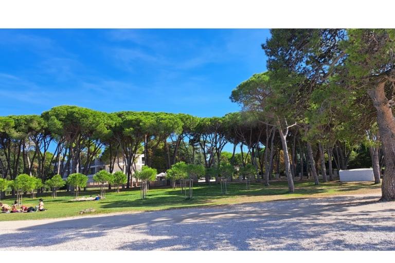 Apartma Noa – foto 20