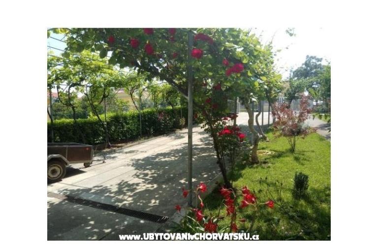 Apartma Tina – foto 2