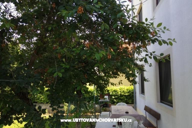 Apartma Tina – foto 3