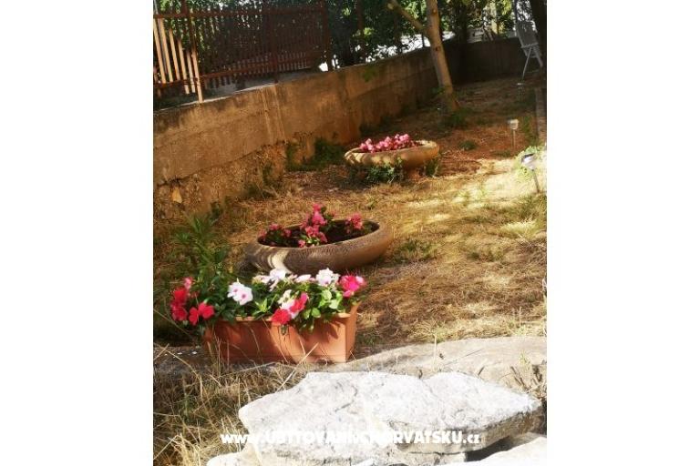 Apartmaji Asea Zadar – foto 3