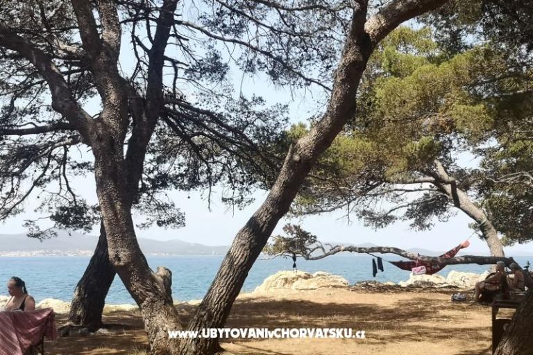 Apartmaji Asea Zadar – foto 6