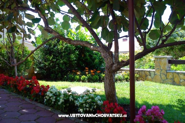 Zadar Apartmaji Buljan – foto 5