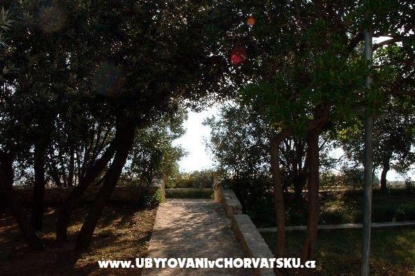 Apartmaji ISA – foto 6