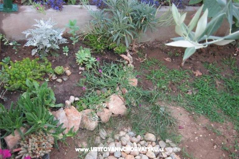 Apartmaji Maja – foto 10
