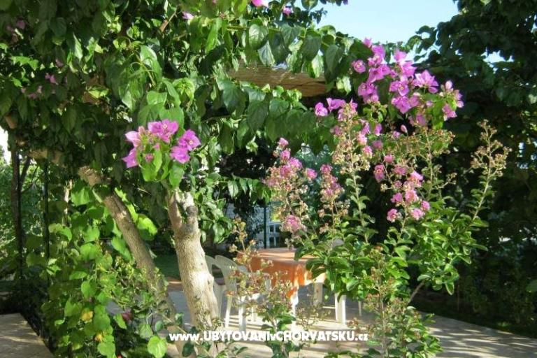 Apartmaji Maja – foto 14