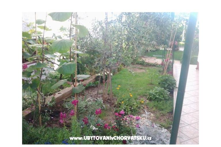 Apartmaji Maja – foto 15