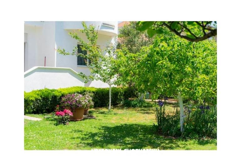 Apartmaji Manda – foto 11