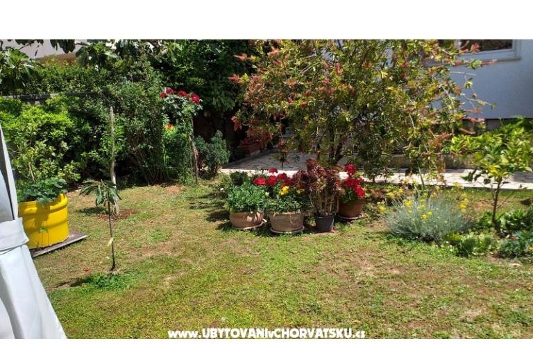 Apartmaji Manda – foto 17