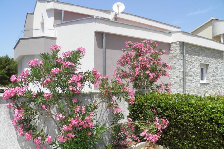 Apartmaji Mirakul – foto 8