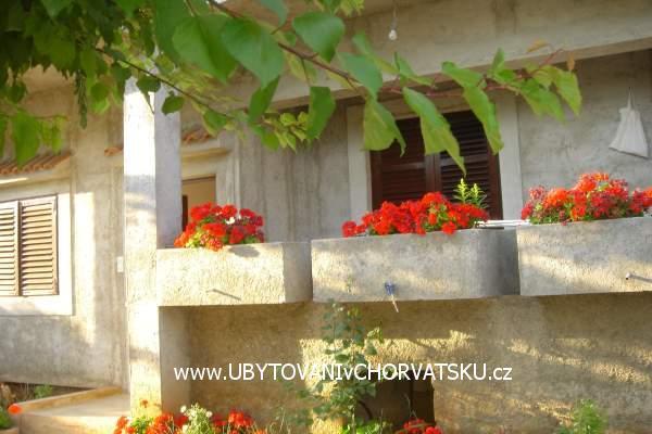 Family Hiša Matkovic – foto 4