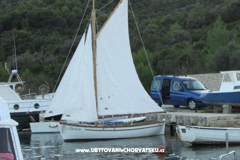 Hiša Branka – foto 15