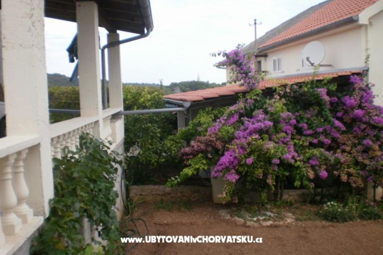 Hiša Branka – foto 16