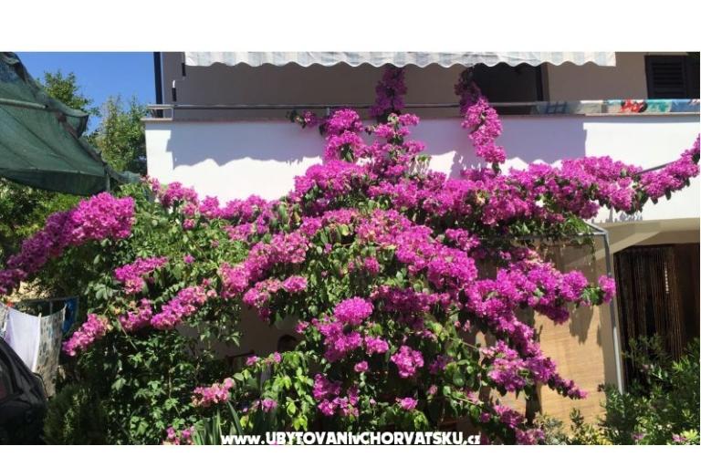 Lucija apartmány – foto 2