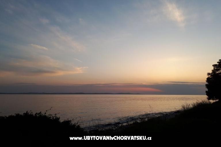 Veronika – foto 7