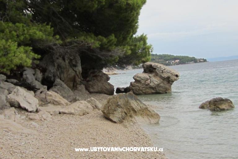 Apartmaji Jagoda – foto 16