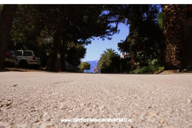 Apartmaji Maja – foto 14