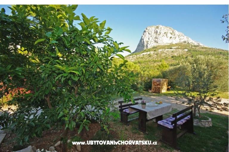 Apartmaji Marija – foto 6