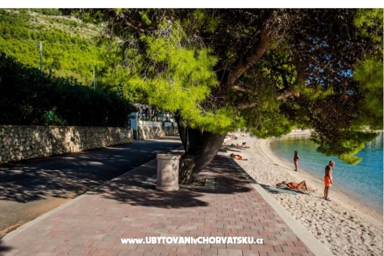 Apartmaji Martinović – foto 13
