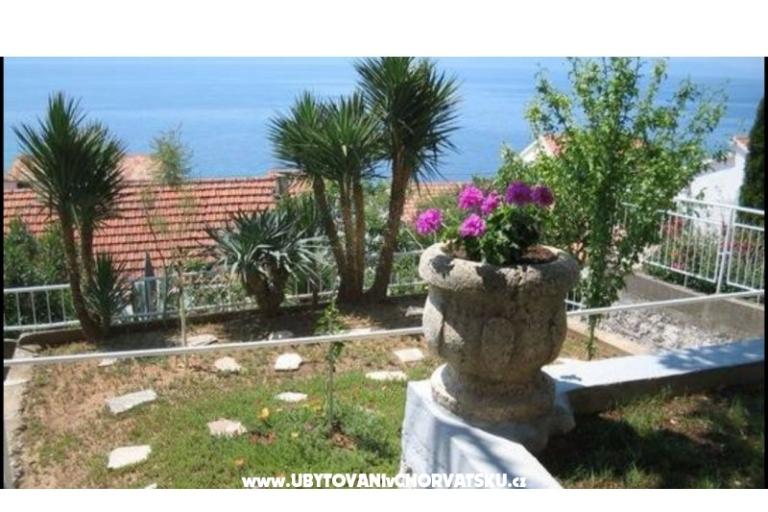 Apartma Amalia – foto 4