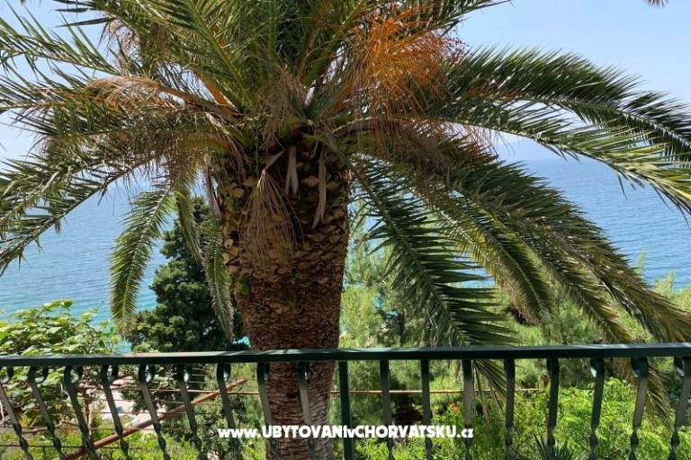 Apartmaji Palma – foto 7