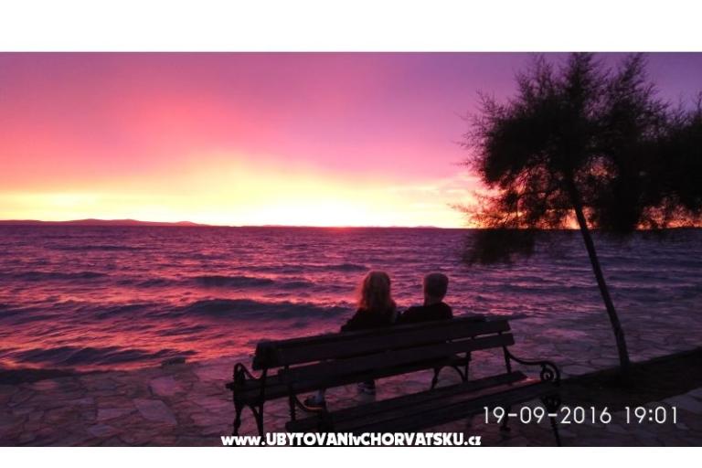 Alexis Hiša – foto 9