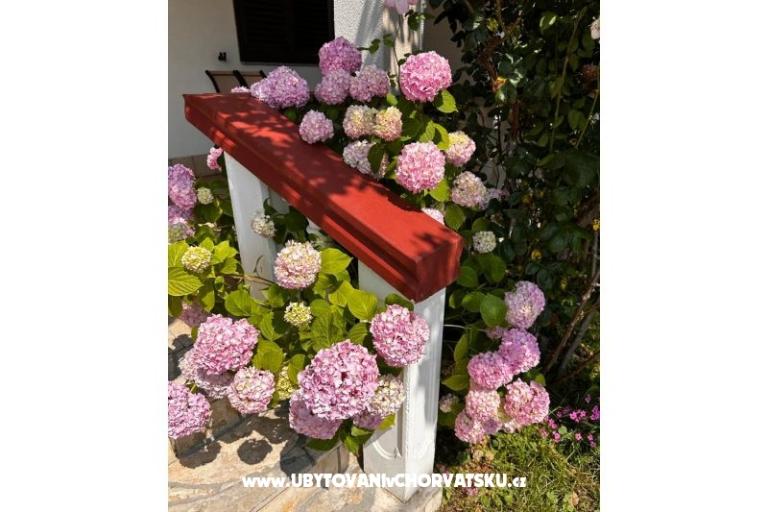 Apartmaji Ana Ercegović  – foto 10