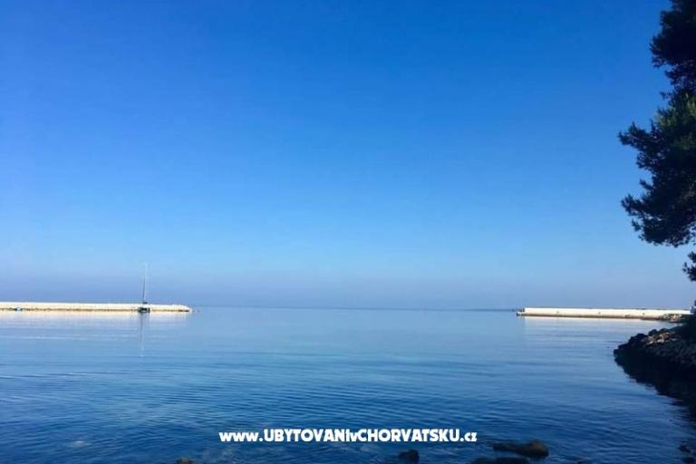 Apartmaji Ana Ercegović  – foto 12