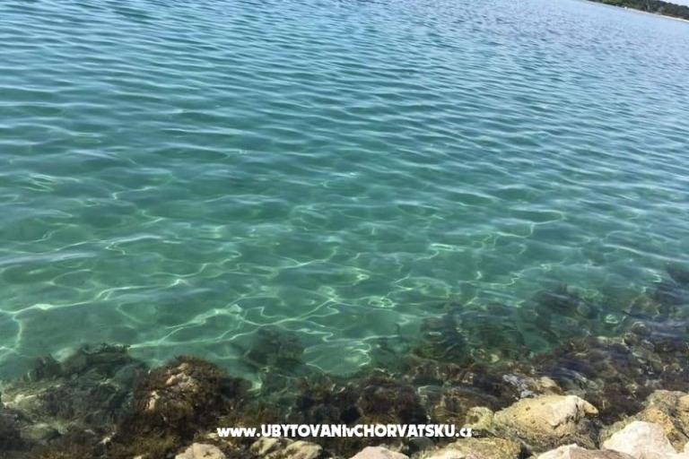 Apartmaji Ana Ercegović  – foto 15