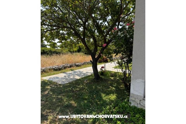 Apartmaji Ana Ercegović  – foto 8