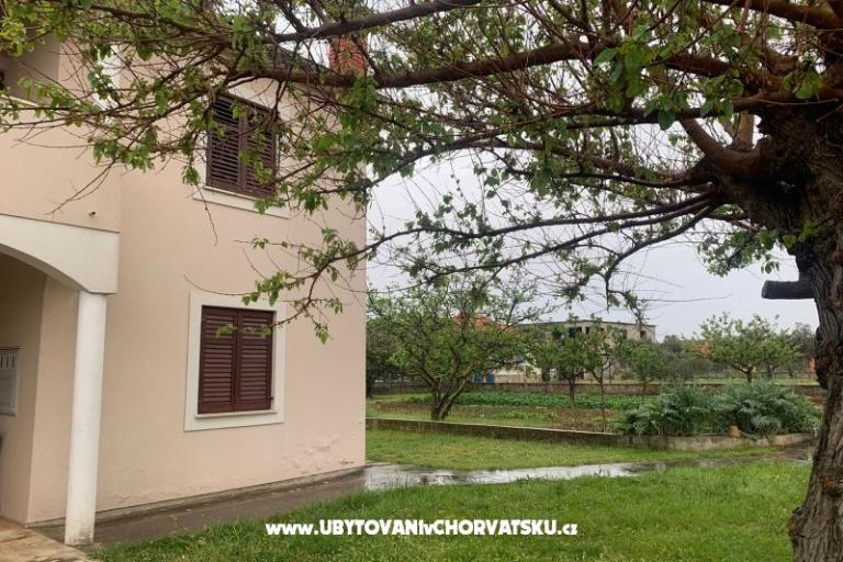 Apartmaji BLUE – foto 6