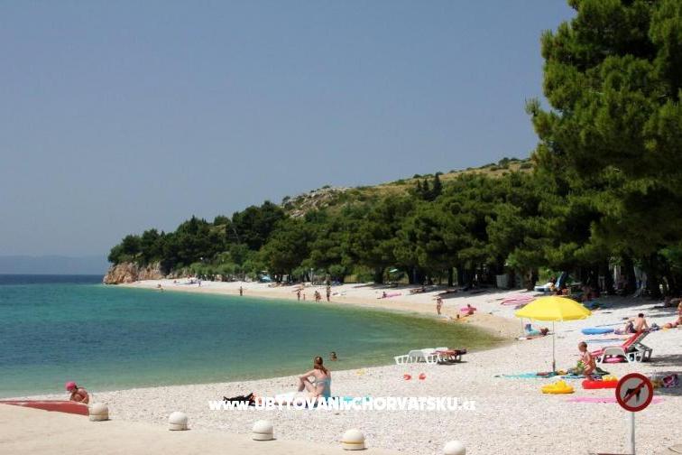Apartmaji Eva &amp; Ante – foto 11