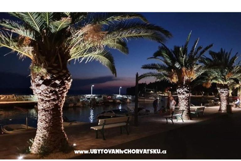 Apartmaji Eva &amp; Ante – foto 20