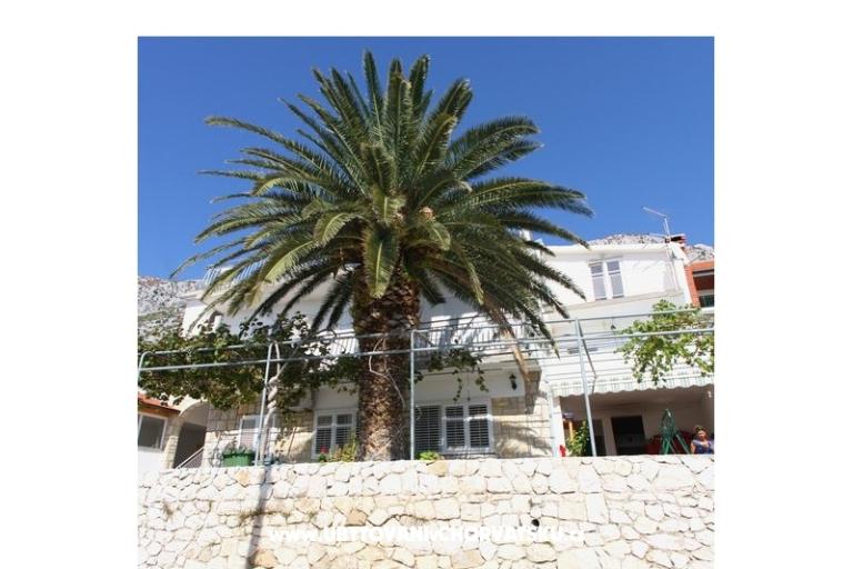 Apartmaji Ivop – foto 15