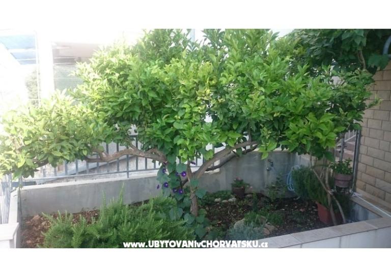 Apartmaji Jovanović – foto 12