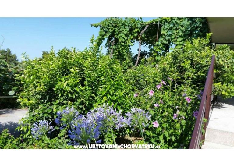 Apartmaji Lily – foto 5
