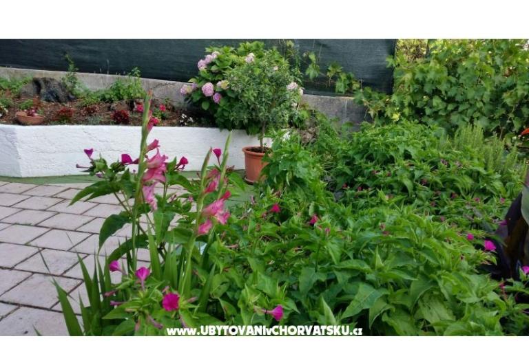 Apartmaji Lily – foto 8
