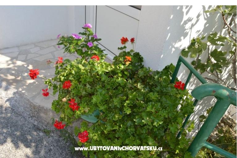 Apartmaji Majstrović Živogošće – foto 12