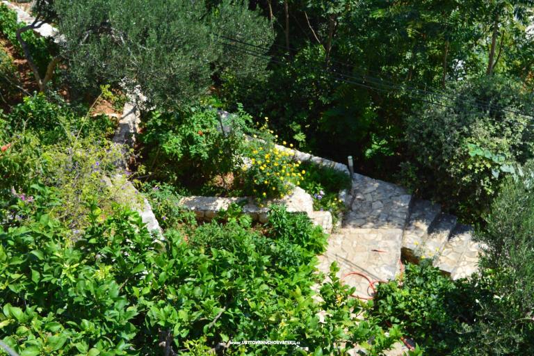 Apartmaji Majstrović Živogošće – foto 6