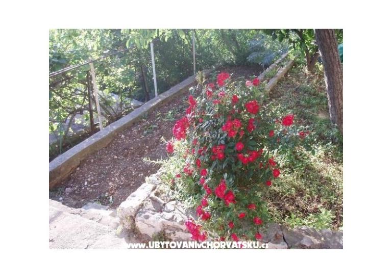Apartmaji Tiho – foto 11