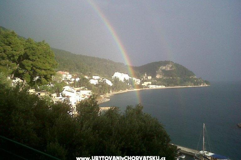 Apartmaji MM – foto 12