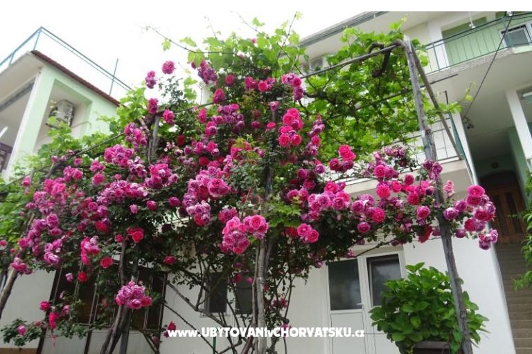 Apartmaji NEDA – foto 3